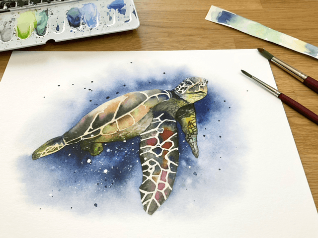 Affiche « Tortue marine »