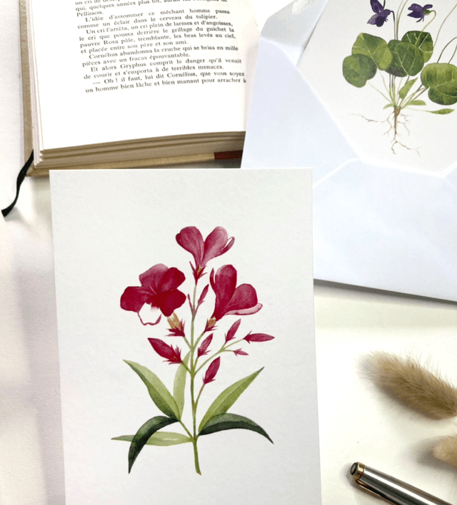 Carte postale « Fleurs de laurier rose »