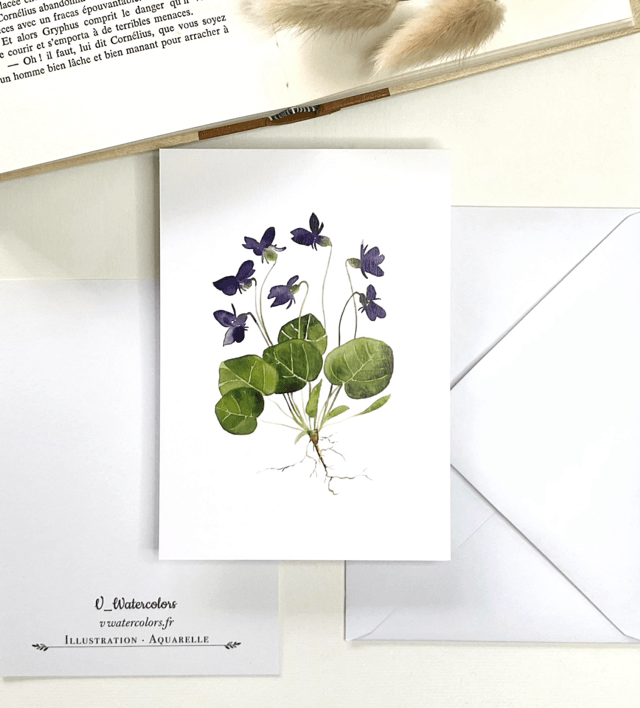 Carte postale « Violettes »