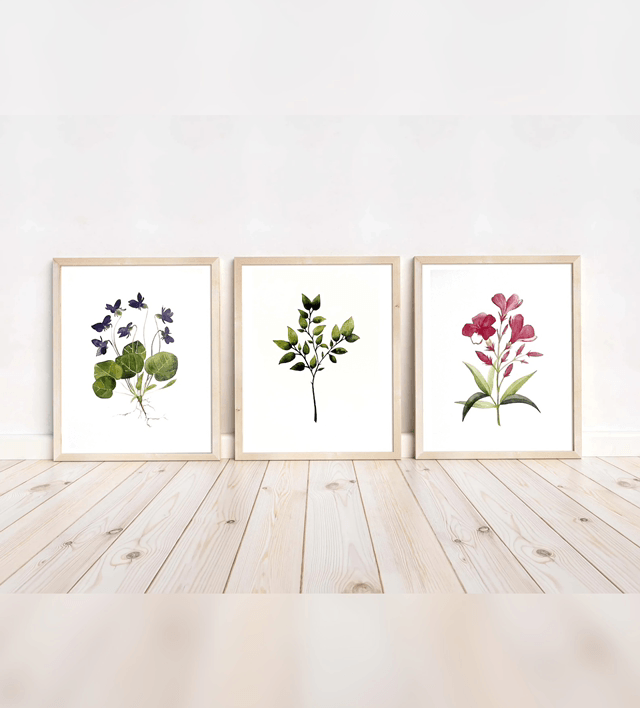 Carte postale « Fleurs de laurier rose »