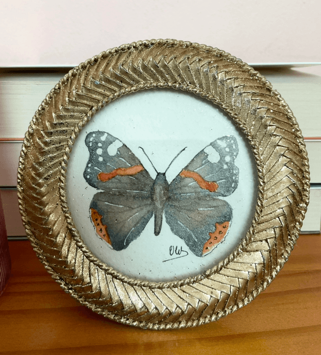 Papillon « Vanessa Atalanta » dans son cadre miniature doré