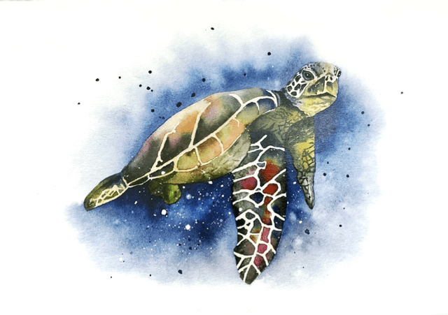 Affiche « Tortue marine »