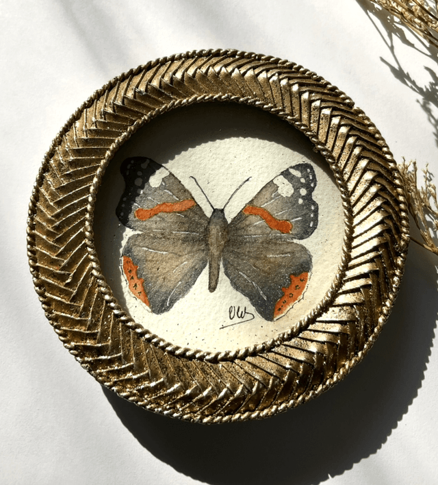 Papillon « Vanessa Atalanta » dans son cadre miniature doré