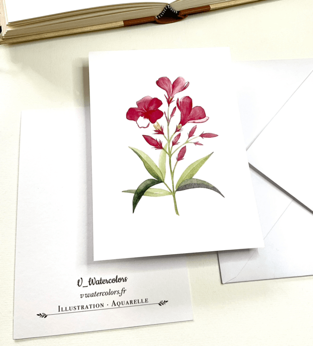 Carte postale « Fleurs de laurier rose »