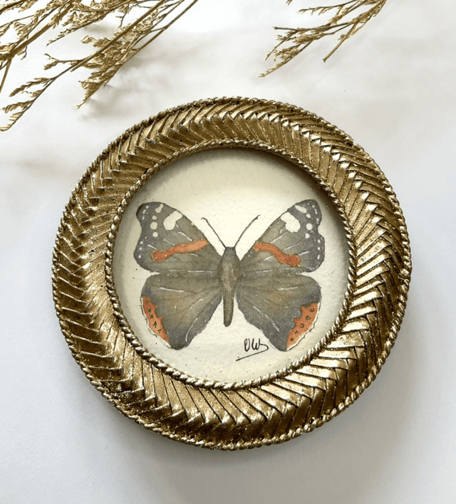 Papillon « Vanessa Atalanta » dans son cadre miniature doré