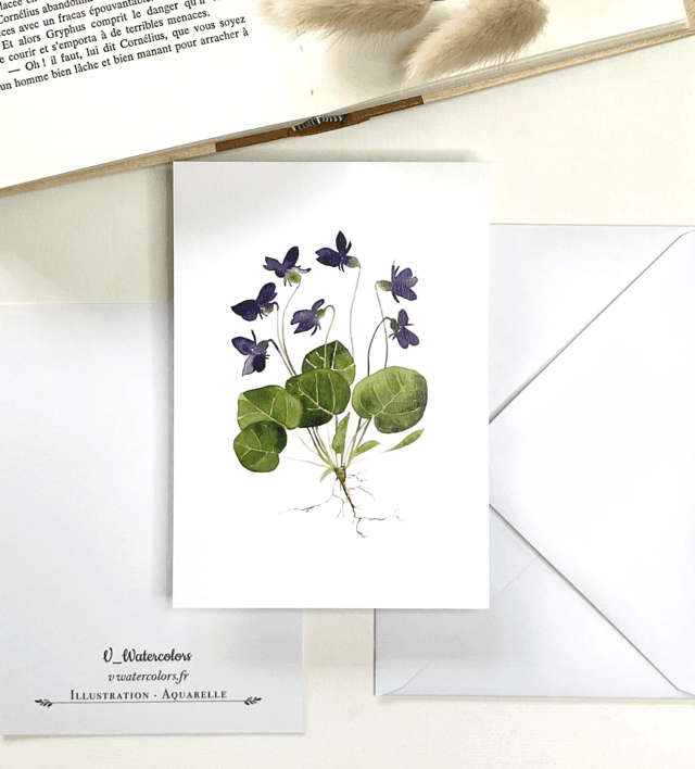 Carte postale « Violettes »